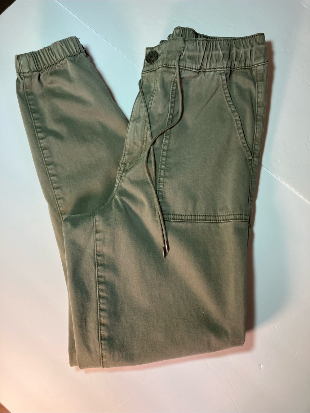 American Eagle Outfitters Olive Green Jogger Pants
